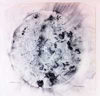 Kashiwagi Auswahl 1.jpg